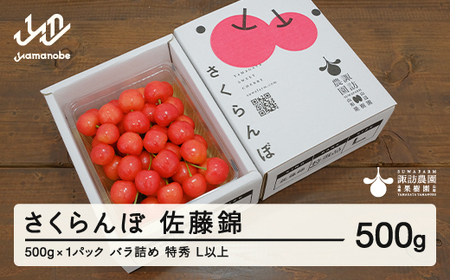 《先行予約》2026年 山形県産 さくらんぼ 佐藤錦 500g バラ詰め(パック) 特秀 L以上 2025年6月中旬から順次発送 ※沖縄・離島への配送不可 F20A-904