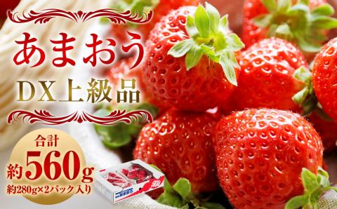 【2023年12月上旬より順次発送】福岡県産 博多あまおう DX 上級品 約560g (約280g×2パック入り) いちご 苺