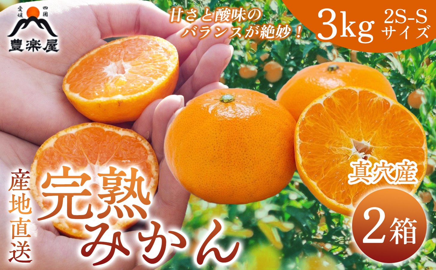 
                  【先行受付】【農家直送でお届け！】果汁たっぷり真穴産みかん 3kg×2箱(2S~Sサイズ)【F98-18】【1711298】YWTBU018
                