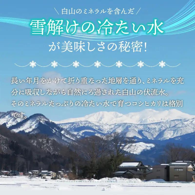 コシヒカリ 定期便 玄米 30kg コシヒカリ