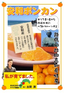 【早期予約】 訳あり ポンカン 5kg 家庭用 大人気 産地直送 早期予約 2025年 1月 中旬 発送 柑橘 フルーツ みかん 安和ポンカン 高知県 須崎市 ( ﾎﾟﾝｶﾝ 柑橘 ﾎﾟﾝｶﾝ 柑橘 