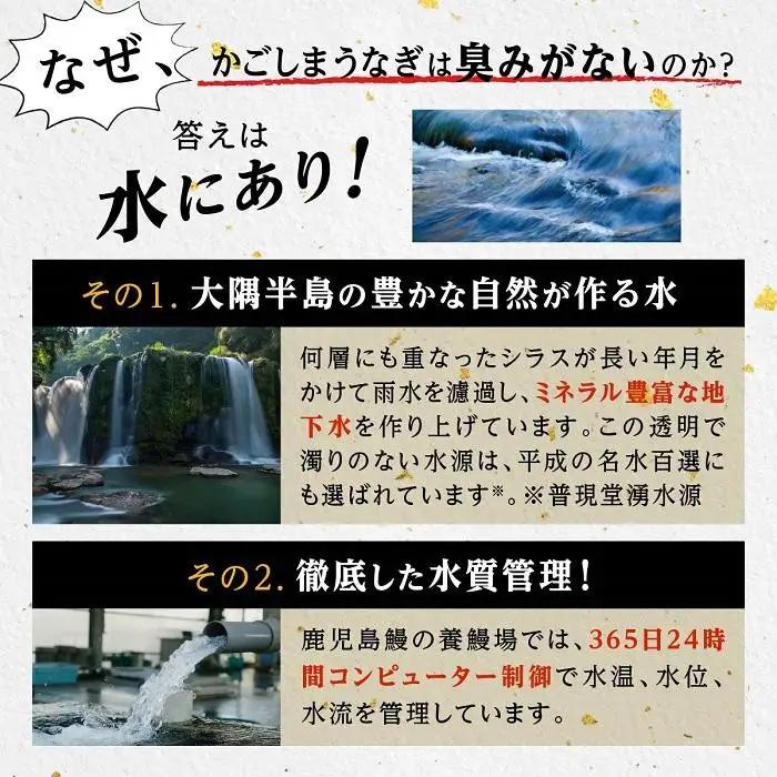 うなぎ 蒲焼 200g×5尾【鹿児島産】地下水で育てた絶品鰻｜うなぎ