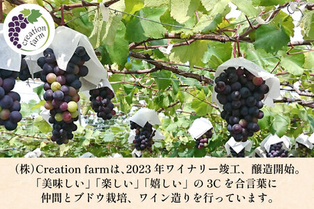赤ワイン マスカット・ベーリーＡ 750ml  2本 ステンレスタンク ＆ オーク樽熟成  飲み比べ セット