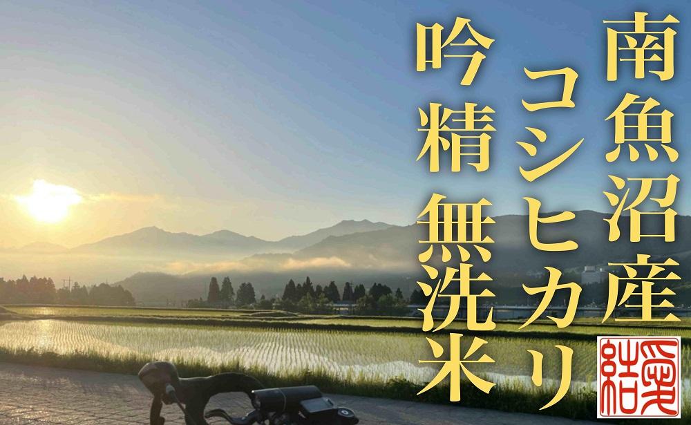 【令和7年産】【定期便4Kg×全3回【無洗米】 南魚沼産コシヒカリ【定期便 銘柄米 ブランド米 無洗米 こしひかり コシヒカリ 魚沼産 新潟米 産地直送 お米 米 こめ コメ ご飯 御飯 ごはん】