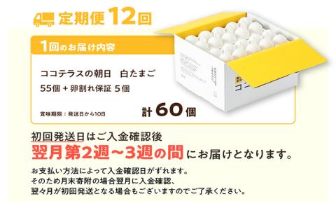 【12ヵ月定期便】ココテラスの朝日（白たまご）55個 + 5個保証（計60個）