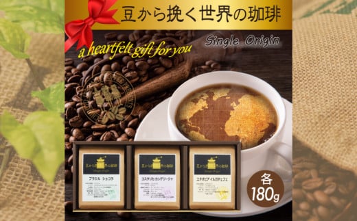 コーヒー豆 3種類 スペシャルティコーヒー 詰め合わせ 焙煎 珈琲 コーヒー ブレンド 酸味 コーヒー豆  煎り ブラジル コロンビア ドリンク 飲み物 飲料類 自家焙煎コーヒー豆 ギフト 贈答 贈答品 チモトコーヒー 静岡 沼津