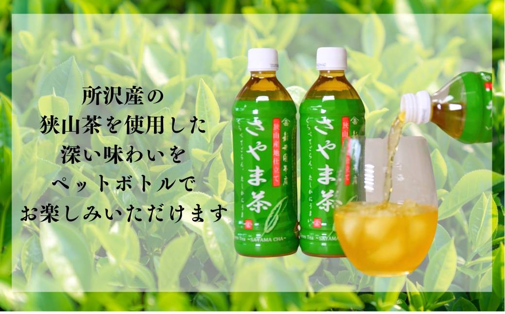 定期便 6ヵ月お茶 さやま茶ペットボトル 500ml×24本 | お茶ペットボトル 緑茶ペットボトル ぺっとぼとる ペットボトル