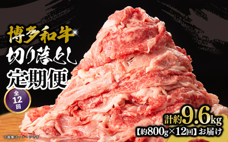 博多和牛 切り落とし 定期便全12回 計約9.6kg 肉 お肉 博多和牛 和牛 牛肉 バラ カタ モモ ウデ 赤身 切り落とし 国産  800g 冷凍 冷凍配送 使い切りサイズ 柔らかい ジューシー すき焼き 牛丼 肉じゃが 定期便 全12回 福岡県 八女市  072-T103