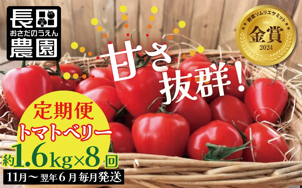 【先行受付!!】11月～6月毎月発送　幻のミニトマト　トマトベリーの定期便　8回コース【個数限定】 野菜ソムリエサミット 金賞 受賞 長田農園 産地直送 トマト とまと 野菜 やさい フルーツ サラダ 濃厚 甘い ご褒美 プレゼント 美容 健康 リピート多数 人気 高評価 数量限定 碧南市 H004-261