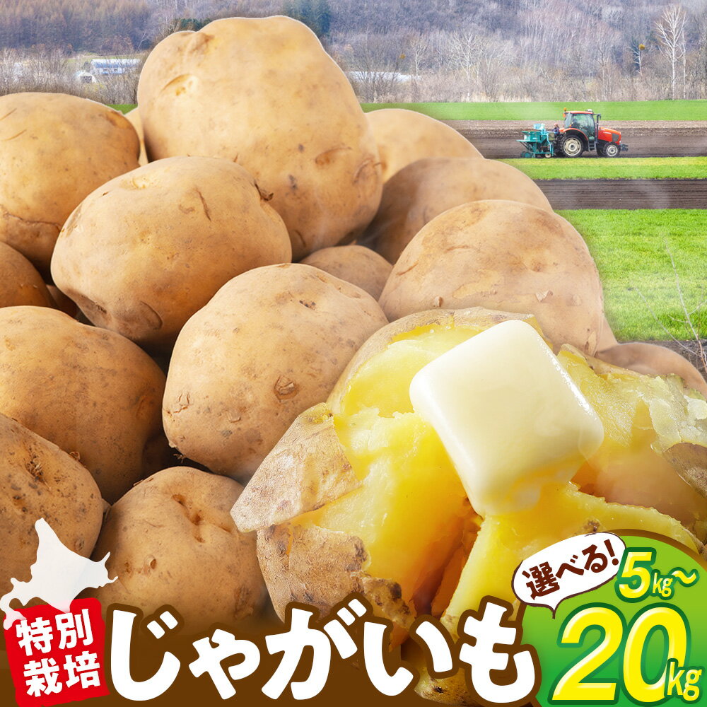 【ふるさと納税】【令和7年産 先行受付】 じゃがいも 5kg〜20kg 特別栽培（男爵 ）| ジャガイモ 芋 男爵 馬鈴薯 大容量 新鮮 野菜 煮物 カレー シチュー ポテト 保存 特産 産地直送 北海道 津別町 送料無料