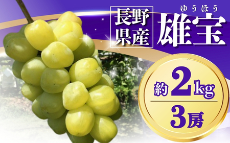 【2026年先行予約】ぶどう 雄宝(ゆうほう) 約2kg(3房)｜ ぶどう