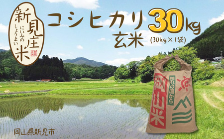 【令和7年産】新見庄米 コシヒカリ 玄米 30kg （30kg×1袋）