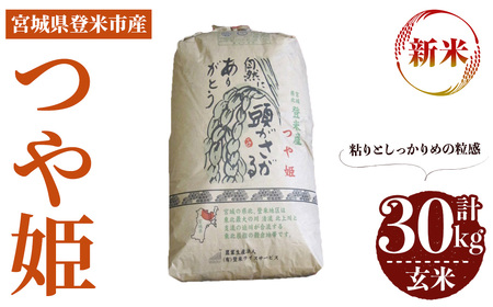 ≪令和7年産≫ つや姫 玄米 30kg 登米市産 お米 おこめ 米 コメ ご飯 ごはん おにぎり お弁当 【登米ライスサービス株式会社】tm143