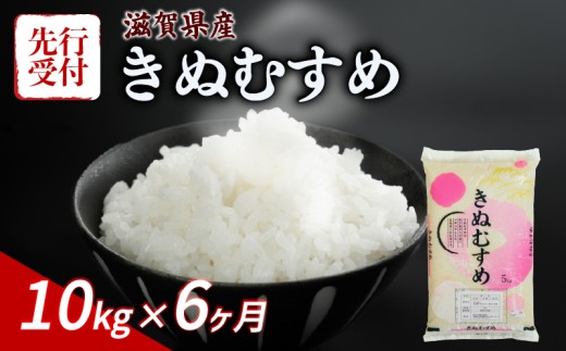 【令和8年産】 先行予約 新米 きぬむすめ 10kg ( 5kg ×2) 6回定期便 令和8年産 定期便 米 白米 近江米 精米 こめ コメ お米 ご飯 米 キヌムスメ 米定期便 6か月定期便 6ヶ月定期便 6回 6ヶ月 6か月 滋賀 彦根