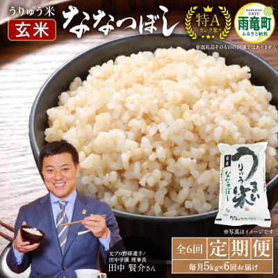 ふるさと納税 雨竜町 【定期便全6回】 うりゅう米 ななつぼし 玄米5kg(5kg×1袋)毎月1回お届け 雨竜町