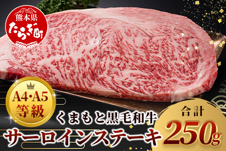 【 A4～ A5 等級 】くまもと黒毛和牛サーロインステーキ 250ｇ【 ブランド 牛肉 肉 サーロイン ステーキ 250ｇ×1枚 ご馳走 ご褒美 和牛 国産 熊本県 上級 上質 】106-0502