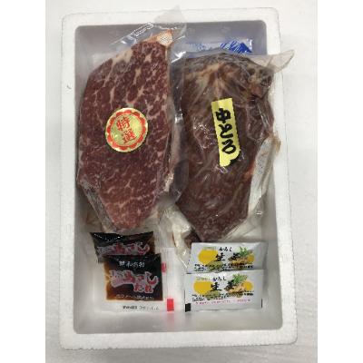 ふるさと納税 宇土市 馬刺セット400g(中トロ・霜降り各200g)※タレ・生姜付(宇土市) |  | 01