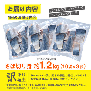 訳あり・業務用 鯖 切り身 (総計約1.2kg・30切) さば 切身 スピード発送 【AQ88】【やまろ渡邉】