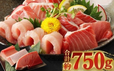 【定期便/計5回】天然マグロ（食べ比べ）【まぐろ】ge008 FN-Limited-PR