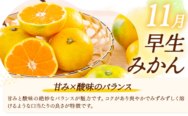 【3ヶ月定期便】みかん 定期便 秀品 温州みかん ミニ 計9kg 日本フルーツ株式会社《10月上旬-12月末頃出荷》熊本県 長洲町 ミカン 蜜柑 柑橘類 極早生 早生 中生 果物 フルーツ---sn_