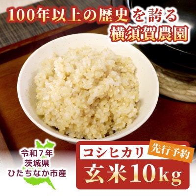 【先行予約・9月以降順次発送】令和7年　ひたちなか市産　コシヒカリ(玄米)10kg×1袋【1641939】