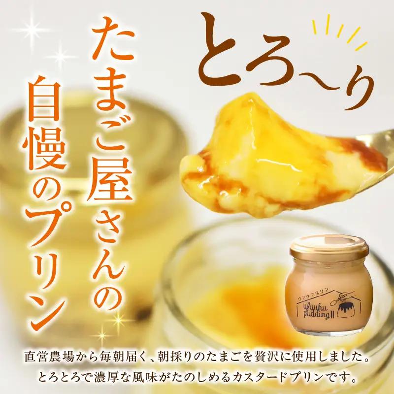 プリン ウフウフガーデンのとろ生プリン 90g×6個