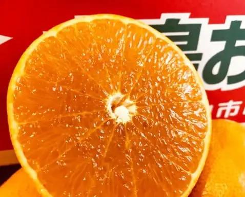 【2027年2月上旬頃から順次発送】 せとか 3kg 【1級品】 | せとか くだもの せとか デザート せとか 高評価 せとか フルーツ せとか 人気 みかん おすすめ みかん 国産 みかん 旬 せ