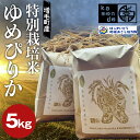 【ふるさと納税】令和6年度産 増毛町産特別栽培米ゆめぴりか 5kg 地域おこし協力隊関連返礼品 新米 ごはん こめ F6S-241