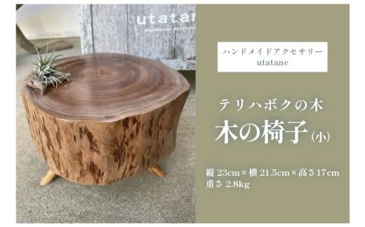 
            DM014『テリハボクの木の椅子』（小）
          