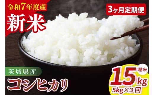 【先行予約】【3ヶ月定期便】令和7年産 茨城県産コシヒカリ　精米　5kg【お米 米 こしひかり ごはん 茨城県】（85-95）
