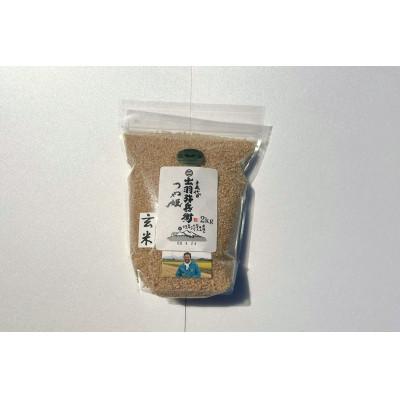 ふるさと納税 鶴岡市 山形県産 令和7年産 特別栽培米 つや姫 玄米 2kg