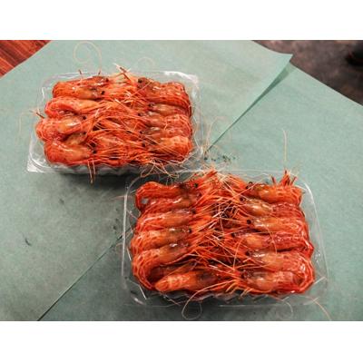 ふるさと納税 苫前町 【急速冷凍】北海道苫前産シマエビ　500g×2《数量限定》(えび・海老・北海道・小分け・生) |  | 02