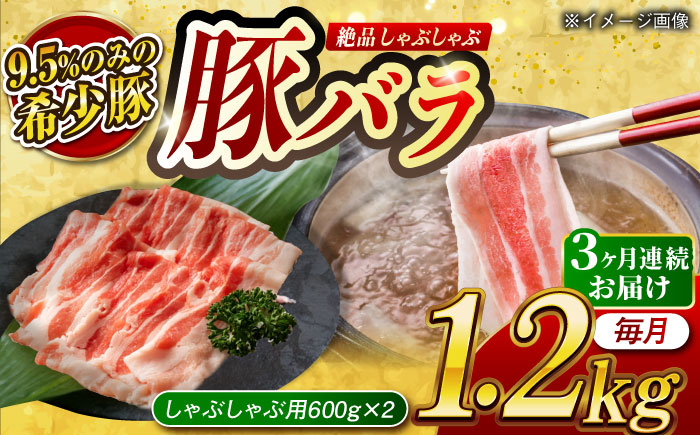 
            【月1回約1.2kg×3回定期便】大西海SPF豚 バラ（しゃぶしゃぶ用）計約3.6kg 長崎県/長崎県農協直販 [42ZZAA097]
          