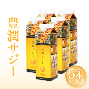 豊潤サジー 1000ml×5本セット サジージュース【紙パックタイプ】 鉄 鉄分 果実
