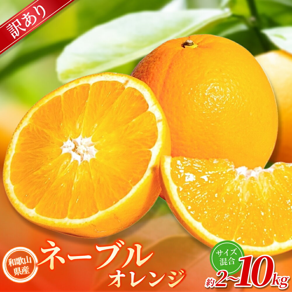 【ふるさと納税】 訳あり ネーブル オレンジ / 手選別 みかん 甘い 和歌山 訳あり 【選べる容量】 2kg 6kg 10kg サイズ混合 ※2026年1月上旬～2月中旬頃に順次発送