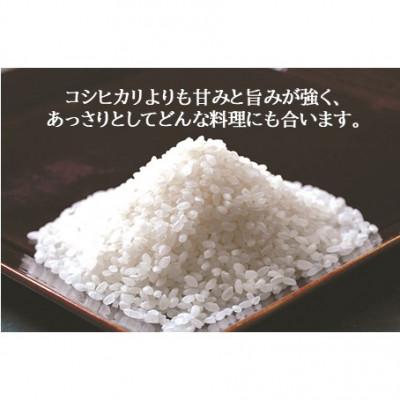 ふるさと納税 氷見市 令和7年産 富山県産 富富富 精米 5kg ブランド米 |  | 01