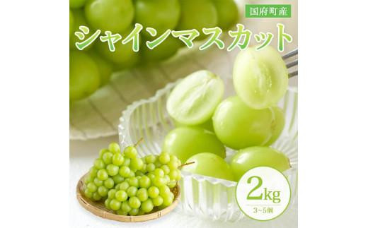 
                  ［鳥取県産シャインマスカット］万葉のしずく ２kg（さんチョク）
                