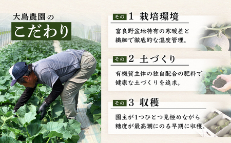 メロン ふらの 赤肉 富良野産 メロン【2玉 計3.2kg以上】大島農園