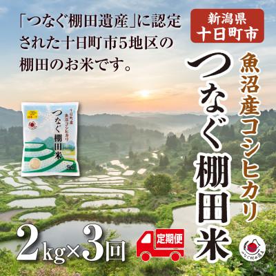 ふるさと納税 十日町市 【毎月定期便】新潟県十日町市魚沼産コシヒカリ「つなぐ棚田米」精米2kg全3回