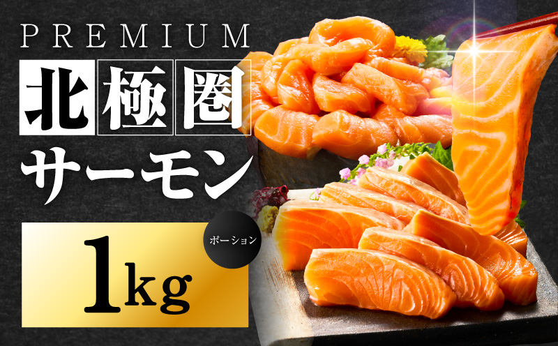 北極圏サーモン ポーション 1kg【高級 小分け 海鮮丼 人気 オススメ 小分け 冷凍 簡単調理 一人暮らし 大阪 泉佐野 大阪府 泉佐野市】