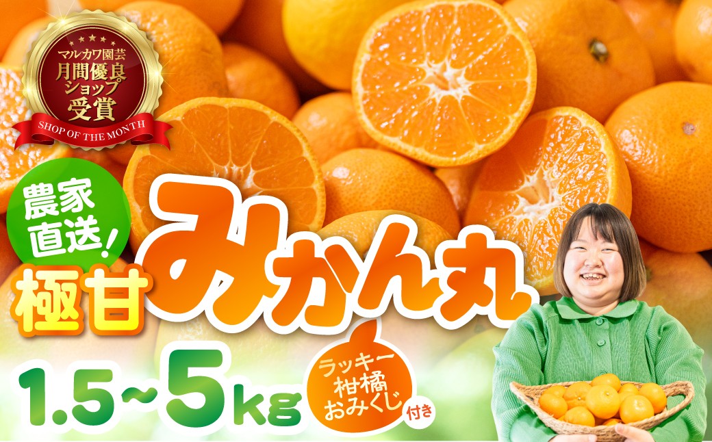 
                  ≪すぐにお届け≫極甘！みかん丸 選べる1.5kg ~ 5kg 温州みかん みかん 蜜柑 ミカン 柑橘 旬 果物 フルーツ 柑橘 甘い おススメ 人気 ランキング マルカワ園芸 1.5kg 3kg 5kg こだわり農家のお蜜柑屋 訳あり S mikann 1月 糖度 愛知県 豊橋市
                