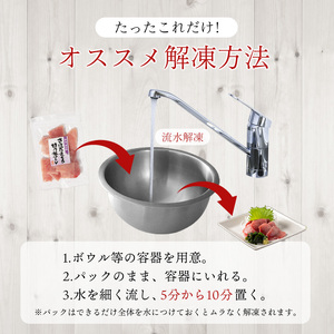 a12-279　天然 キハダマグロ 切り落し 小分け 焼津 海の極 計1.1kg 100g×11P