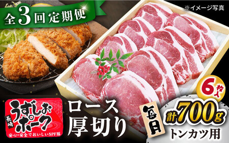 3回定期便 国産豚 ロース とんかつ用 700g 訳あり CAG102 国産豚 とんかつ 豚肉 国産豚 とんかつ 豚肉