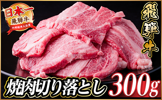 飛騨牛 焼肉切り落とし 約300g タレ付き 訳あり【冷蔵便】カルビ・ロースなど【配送不可地域：離島】