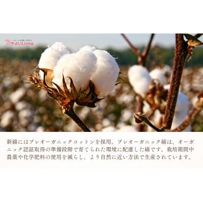 ふるさと納税 紫波町 【お任せ柄】受注生産・職人手作りふとん tsumugi クッション(45cm×45cm・1枚) |  | 01