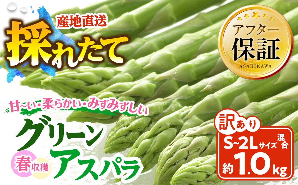 
                  【訳あり】春収穫グリーンアスパラ S～2L混合サイズ 約1kg （2027年6月上旬から発送開始予定) 【 アスパラ アスパラガス北海道 アスパラガス あすぱらがす 朝採り とれたて 野菜 サラダ 訳あり 旬 保存 産直 asparagus ASPARAGUS 旭川市 北海道 】_05955
                