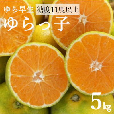 糖度11度以上!ゆら早生みかん「ゆらっ子」5kg(サイズ2S～M)【2026年10月中旬～順次発送】【1218292】