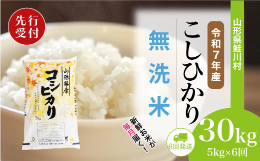 ＜令和7年産米先行受付＞ 山形県産 こしひかり 【無洗米】30kg定期便 (5kg×6回)　配送時期指定できます！