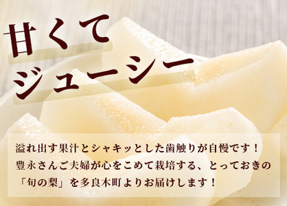 【2026年8月中旬～発送】豊永の 梨 約5kg 熊本 070-0592