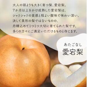 【きよとうファーム】あたご梨 ご家庭用/約5kg(岡山県産)【1566274】